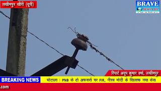 लखीमपुर खीरी : 11000 लाइन के जर्जर तार गिरने से 3 बीघा गन्ना जला - BRAVE NEWS LIVE