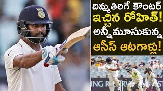 Rohit Sharma Responds To Tim Paine Comments | India Vs Australia Test 2018 | Funny Cricket Moments
