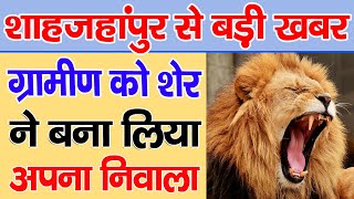 Shahjahanpur | ग्रामीण को शेर ने बनाया निवाला, मौके पर पहुंचे वन अधिकारी - BRAVE NEWS LIVE