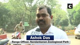 Nandankanan Zoo authorities comfort animals beat winter blues in Bhubaneswar