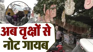Jalandhar के ज्योति चौक में नगर निगम की Raid