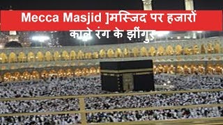 [ Mecca Masjid ] मक्का की भव्य मस्जिद पर हजारों काले रंग के झींगुर का आक्रमण / THE NEWS INDIA