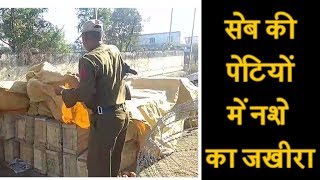 डेढ़ क्विंटल चूरापोस्त की Punjab में सप्लाई का भंडाफोड़, एक तस्कर गिरफ्तार
