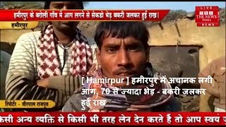 [ Hamirpur ] हमीरपुर में अचानक लगी आग, 70 से ज्यादा भेड़ - बकरी जलकर हुई राख
