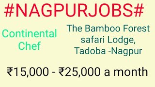 #NAGPURJOBS#nearme | Jobs in Nagpur  | For Freshers and Graduates | No experience | At home |