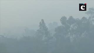 Delhi’s air quality plummets to ‘very poor’ level; fog disrupts train movement