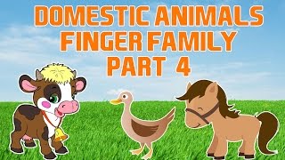 Domestic Animals Finger Family - 4 | Animal Finger Family Song