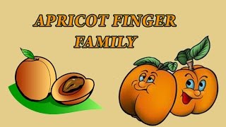 Apricot Finger Family | Fruit Finger Family