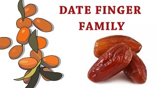 Dates Finger Family | Fruit Finger Family