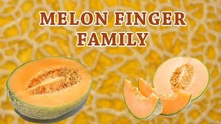 Melon Finger Family | Fruit Finger Family