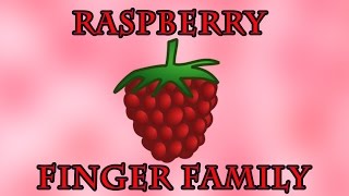 Raspberry Finger Family | Fruit Finger Family