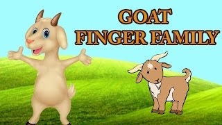 Goat Finger Family | Animal Finger Family