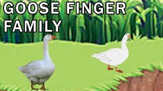 Goose Finger Family | Bird Finger Family