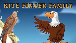Kite | Animal Finger Family