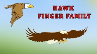 Hawk | Animal Finger Family