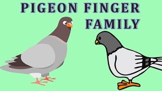 Pigeon | Animal Finger Family