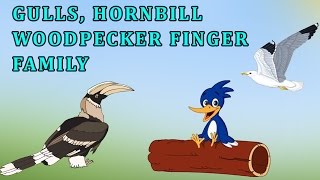 Gulls, Hornbill And Woodpecker | Animal Finger Family