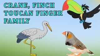 Crane, Finch And Toucan | Animal Finger Family