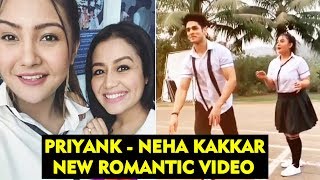 Not Aashika Bhatia But Neha Kakkar And Priyank Sharma To Come Together For Music Video