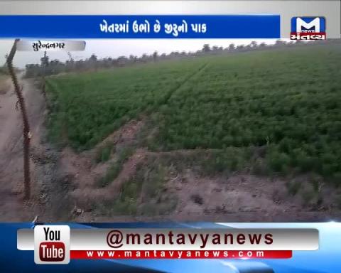 Surendranagar: Farmers worried about crops after water supply in Minor canal stopped in Patdi