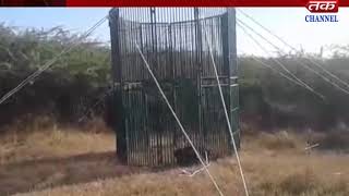 Keshod  Operation to catch lions
