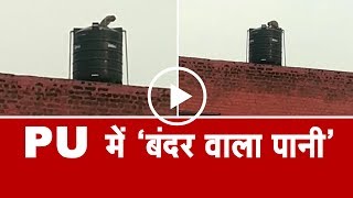 VIDEO VIRAL- PU के हॉस्टल में पानी के टंकियों पर रहता है इनका कब्जा