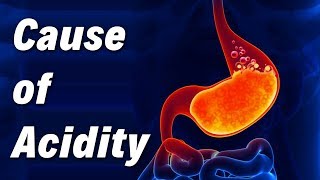 Cause of Acidity