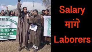 Agricultural department के खिलाफ Laborers का धरना-प्रदर्शन, Salary देने की मांग