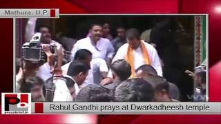 Rahul Gandhi prays at Mathura’s Dwarkadheesh temple, Uttar Pradesh