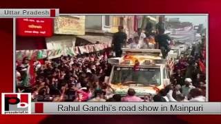 Rahul Gandhi Road Show in Mainpuri, Uttar Pradesh