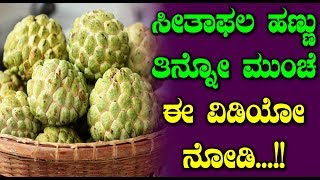 ಸೀತಾಫಲ ಹಣ್ಣು ತಿನ್ನೋ ಮುಂಚೆ ಈ ವಿಡಿಯೋ ನೋಡಿ | Kannada Health Tips