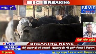 Kannauj | अन्ना पशुओं से परेशान किसान।। नोडल अधिकारी की चैपाल में लगा शिकायतों का अम्बार