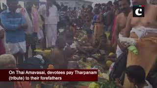 Devotees celebrate Thai Amavasai in Tamil Nadu’s Rameswaram