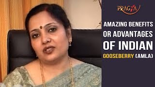 Watch Amazing Benefits or Advantages of Indian Gooseberry(Amla)