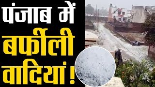 Punjab में भारी Thunderstorms, फिर बिछी 'सफेद चादर'