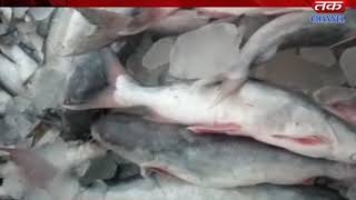 Kachchh - In the fishery industry to become a polluted sea creator