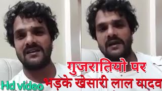 Live आकर खेसारी लाल ने क्या कहा गुजरातियो के बारे मे देखे पुरा इस वीडियो मे - #Khesarilal Yadav