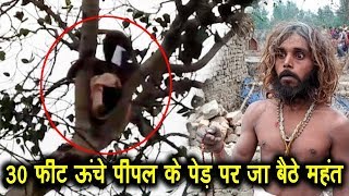 Shahjahanpur | योगीराज में न्याय पाने के लिए एक और बाबा जा बैठे 30 फीट ऊंचे पीपल के पेड़ पर