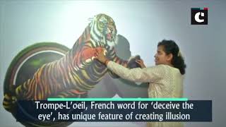 Trompe illusion art exhibition attracts enthusiasts in Hyderabad