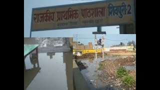 राजकीय प्राथमिक स्कूल शिवपुरी 2 अपनी बदहाली पर आसूं बहा रहा है तथा गंदे पानी से बेहद परेशान है