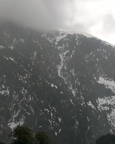 Fresh Snowfall visuals from Magic View Cafe Triund