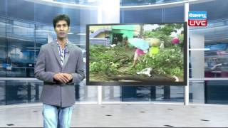 DBLIVE | 20 May | Red alert over heatwave, worse still to come