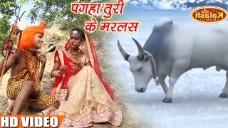 #Vinod Singh "Kushwaha " #Amrita Raaj - पगहा तुरी के मरलस - Basaha Gaura Mai Ke - Bolbam Songs 2018