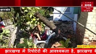 [ Jharkhand ] पेड़ गिरने से बड़ी दुर्घटना होते होते बाल बाल बची / THE NEWS INDIA