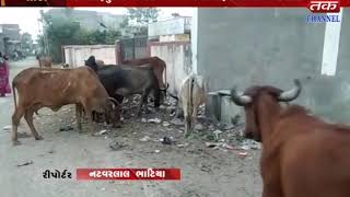 Lathi : Despite two cases of swine flu, negligence of the cleaning service