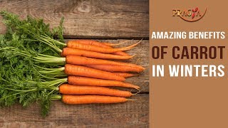 Watch Amazing Benefits of Carrot in Winters
