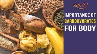 Watch Importance of Carbohydrates for Body