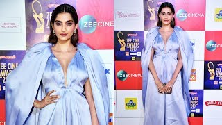 Beautiful Sonam Kapoor At Zee Cine Awards 2019 Red Carpet