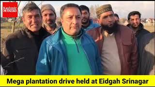 Plantation drive held at Eidgah  Srinagar