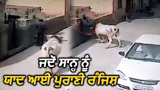 Viral Video: देखिए कैसे सांड ने निकाली रास्ते में खड़े शख्स से दुश्मनी